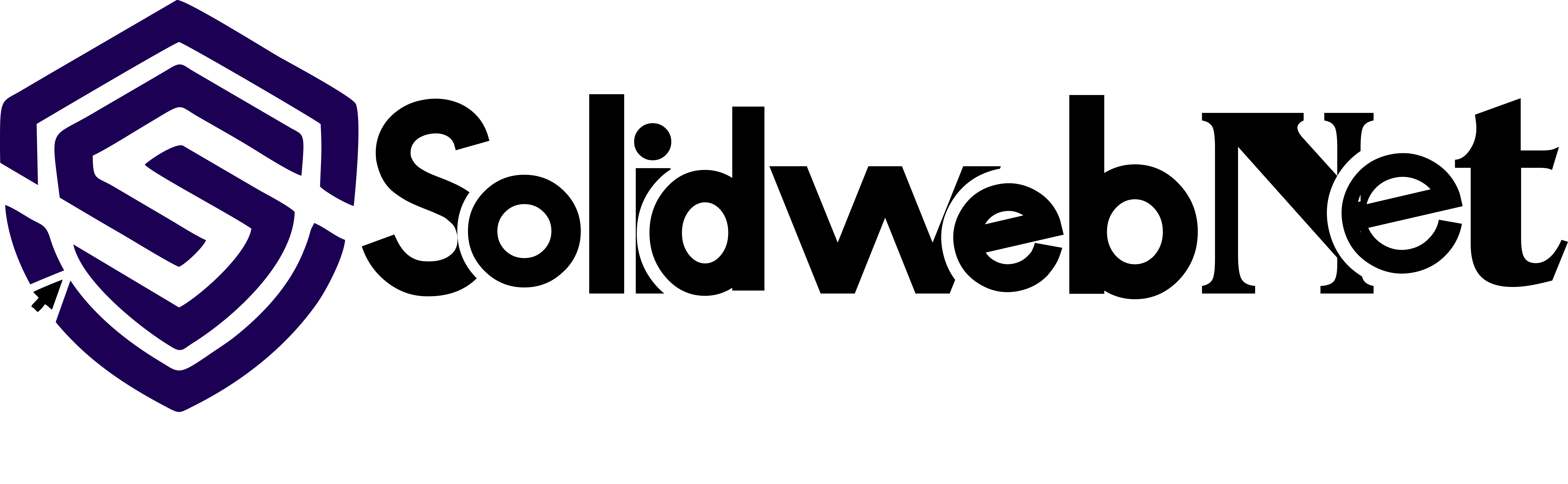 Solidwebnet